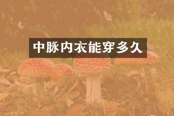 中脉内衣能穿多久
