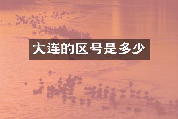 大连的区号是多少