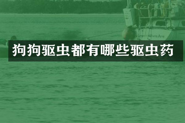 狗狗驱虫都有哪些驱虫药