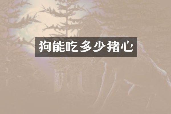 狗能吃多少猪心