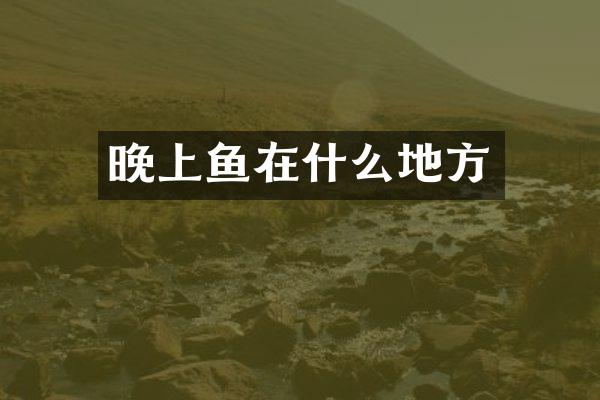 晚上鱼在什么地方