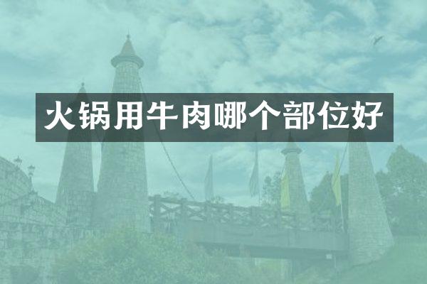 火锅用牛肉哪个部位好