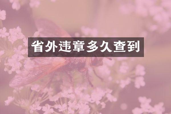 省外违章多久查到