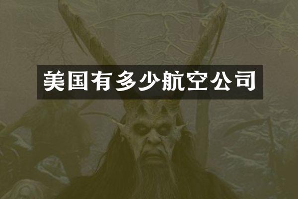 美国有多少航空公司