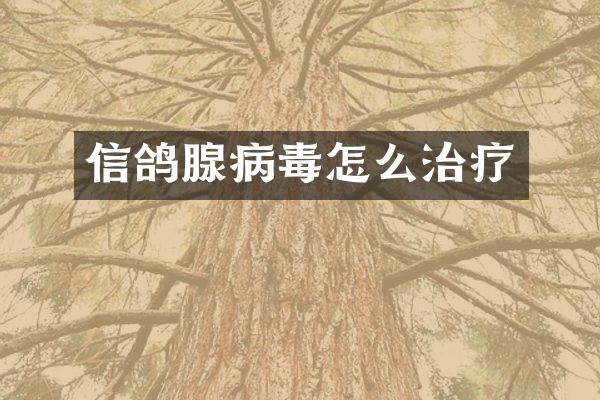 信鸽腺病毒怎么治疗