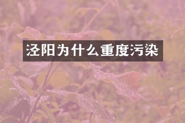 泾阳为什么重度污染