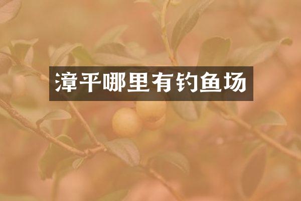 漳平哪里有钓鱼场