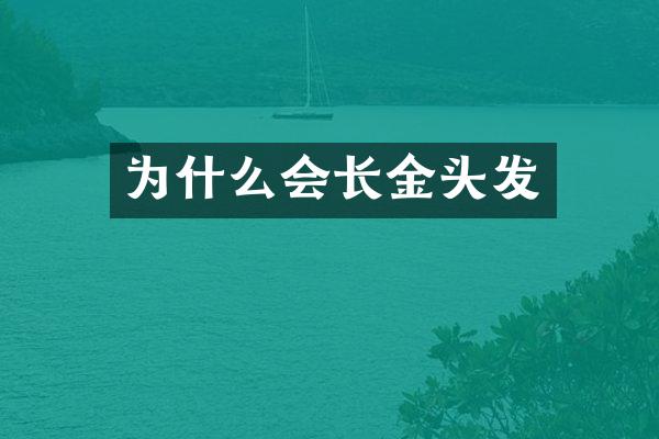 为什么会长金头发