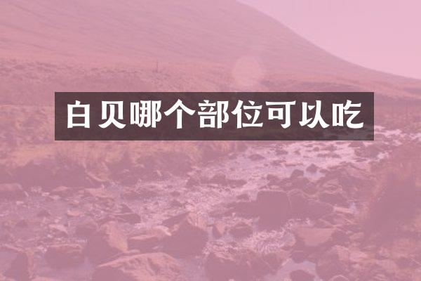 白贝哪个部位可以吃