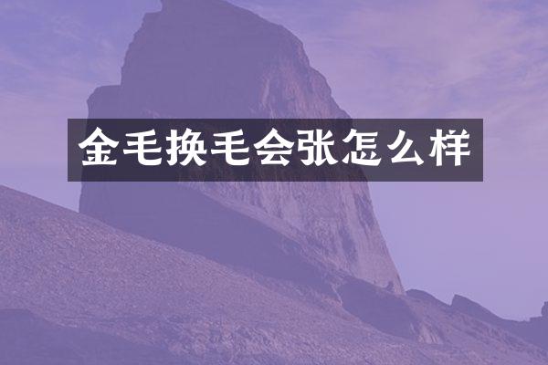 金毛换毛会张怎么样