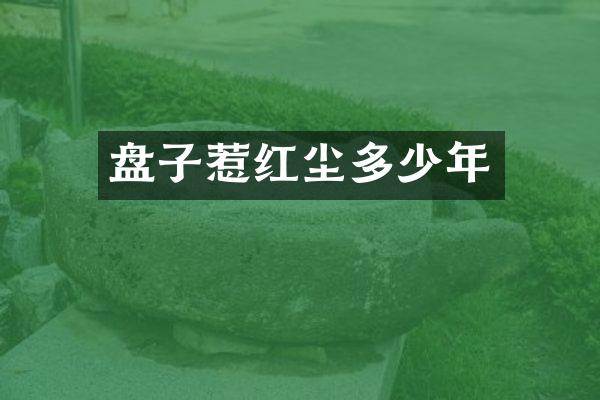 盘子惹红尘多少年