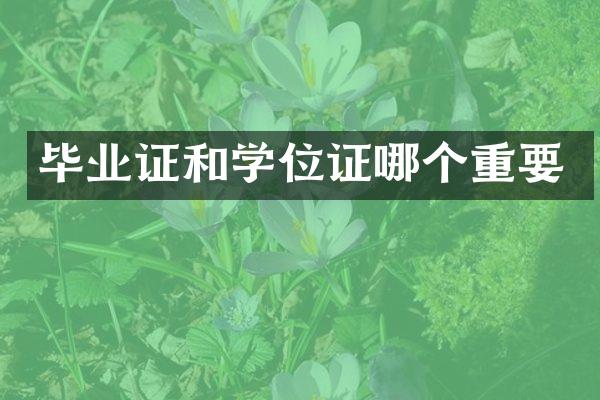 和学位证哪个重要