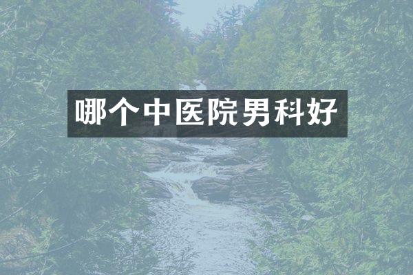哪个中医院男科好