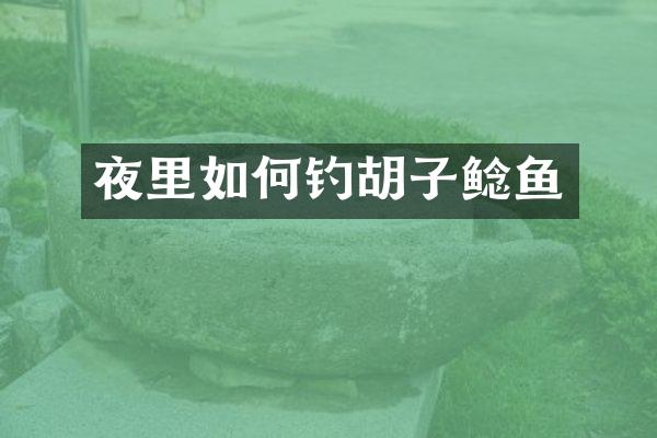 夜里如何钓胡子鲶鱼