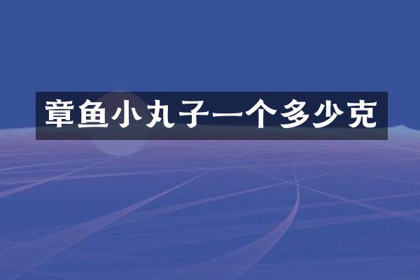 章鱼小丸子一个多少克