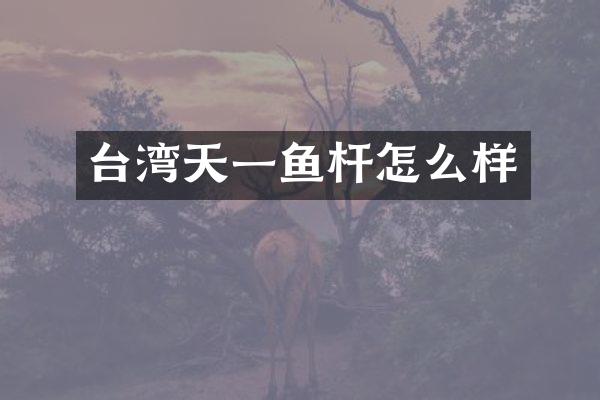 台湾天一鱼杆怎么样