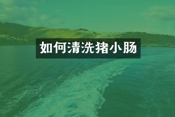 如何清洗猪小肠
