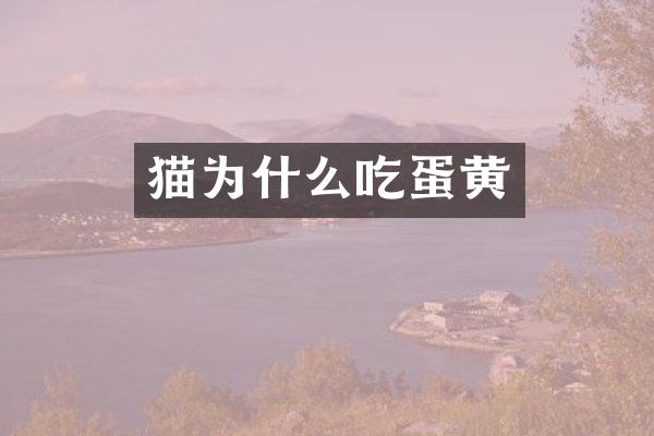 猫为什么吃蛋黄