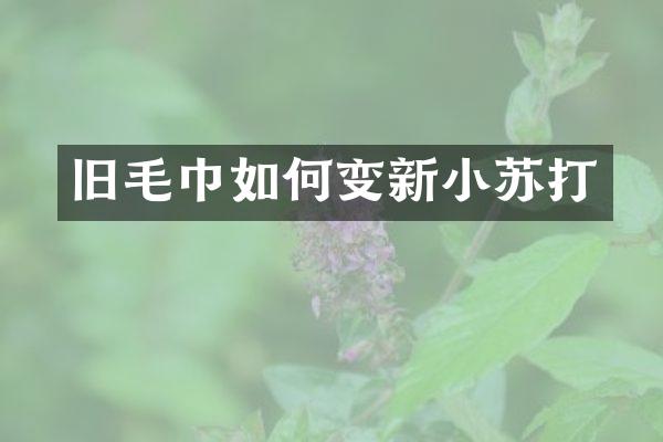 旧毛巾如何变新小苏打