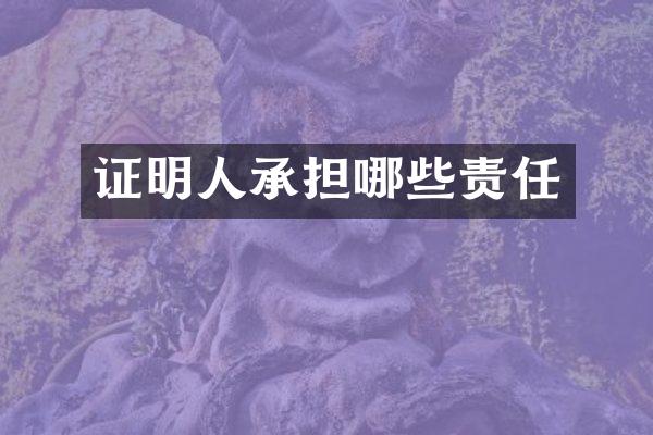 证明人承担哪些责任