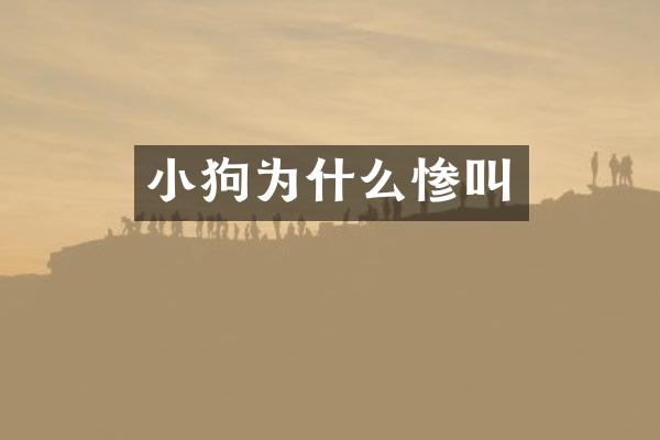 小狗为什么惨叫