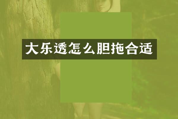 大乐透怎么胆拖合适