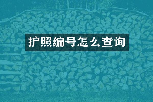 护照编号怎么查询