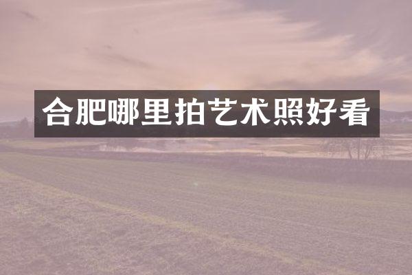 合肥哪里拍艺术照好看