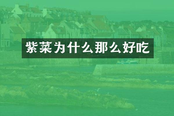 紫菜为什么那么好吃