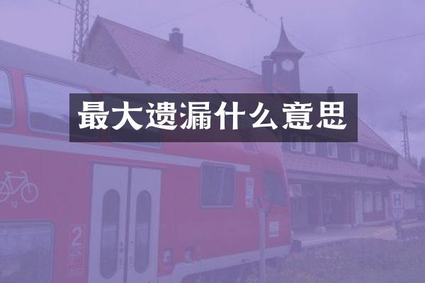 最大遗漏什么意思