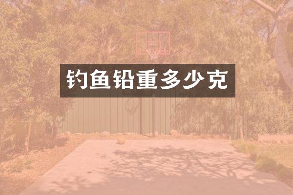 钓鱼铅重多少克