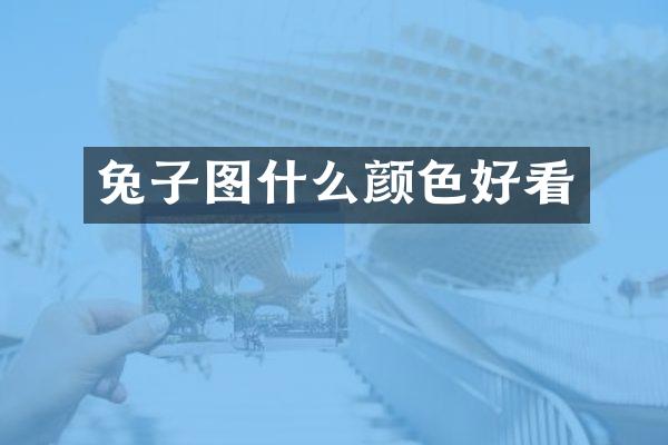 兔子图什么颜色好看