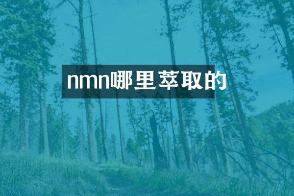 nmn哪里萃取的