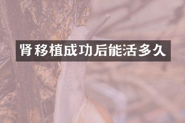 肾移植成功后能活多久