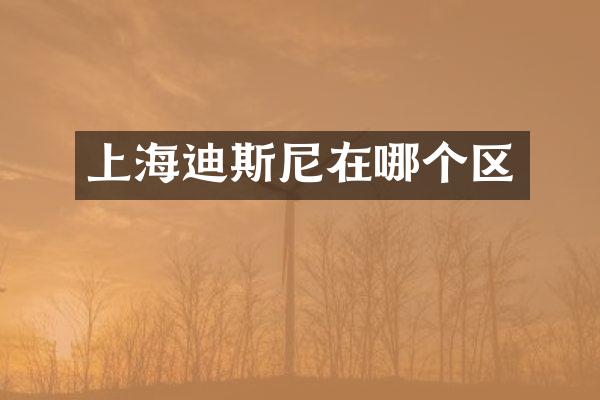 上海迪斯尼在哪个区