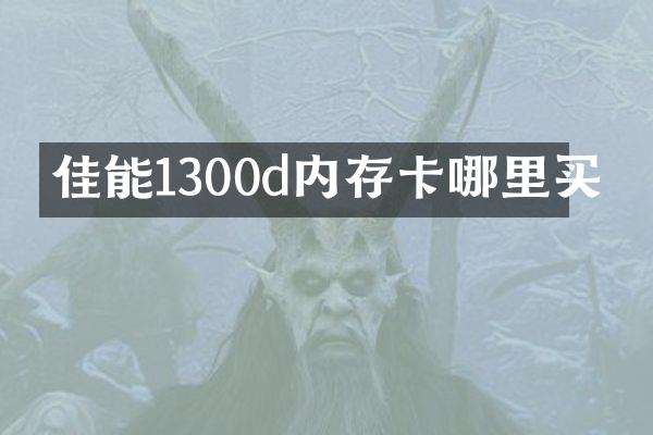 佳能1300d内存卡哪里买