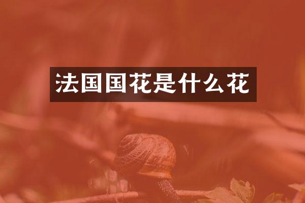 法国国花是什么花