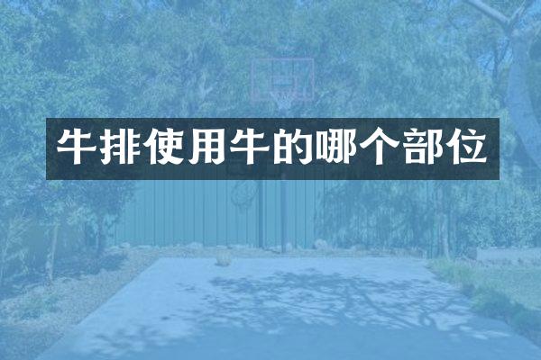 牛排使用牛的哪个部位