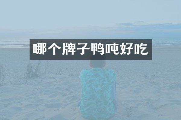 哪个牌子鸭吨好吃