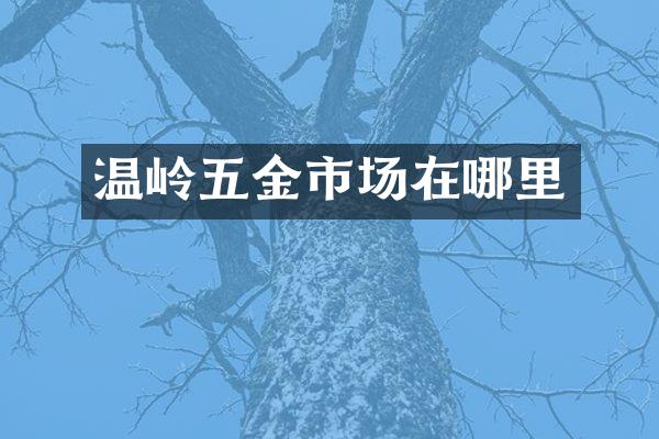 温岭五金市场在哪里