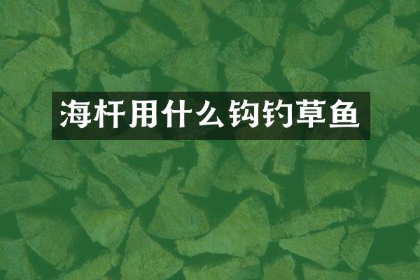 海杆用什么钩钓草鱼