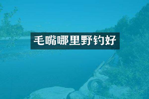 毛嘴哪里野钓好