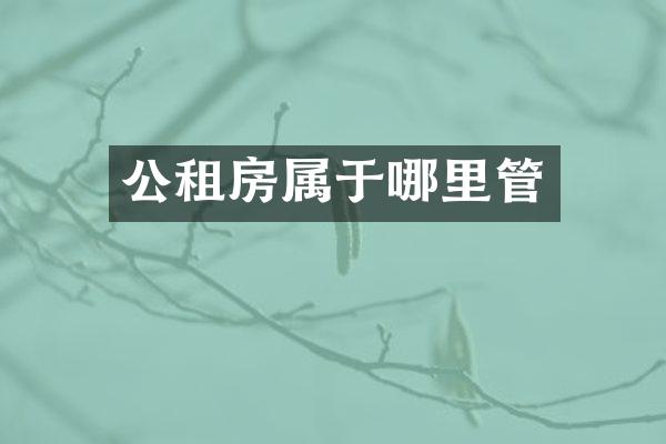 公租房属于哪里管
