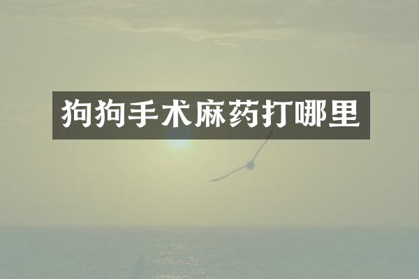 狗狗手术麻药打哪里