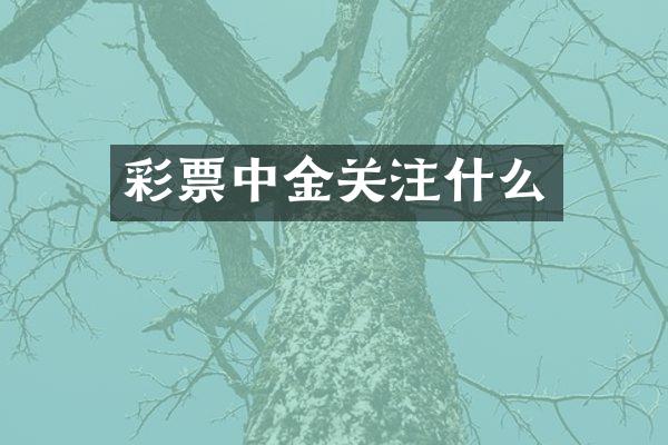 彩票中金关注什么