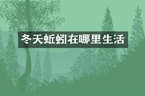 冬天蚯蚓在哪里生活