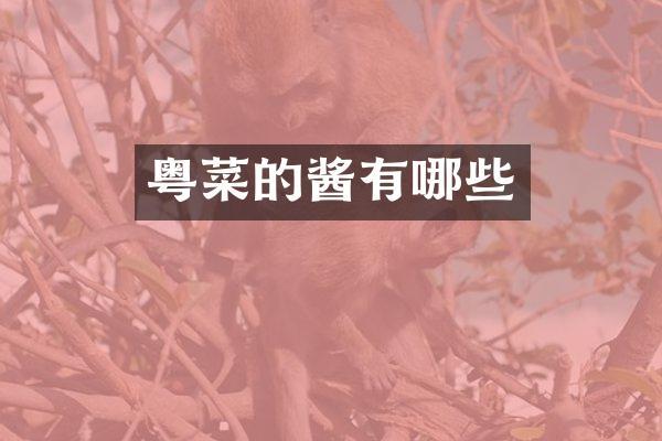 粤菜的酱有哪些