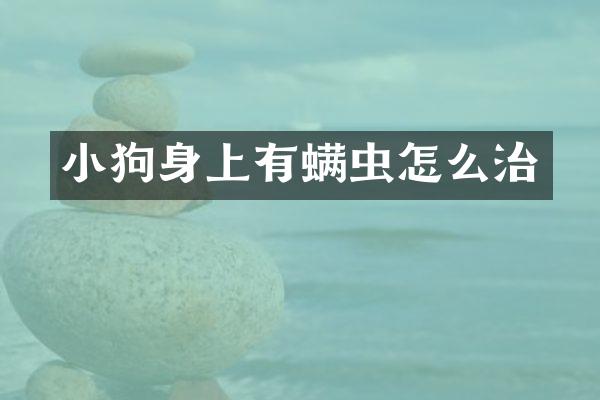 小狗身上有螨虫怎么治