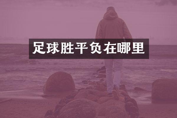 足球胜平负在哪里