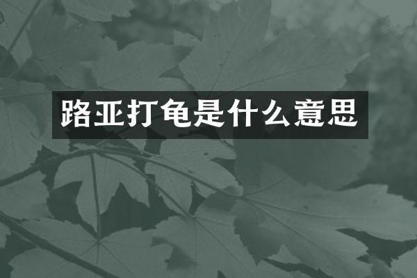 路亚打龟是什么意思